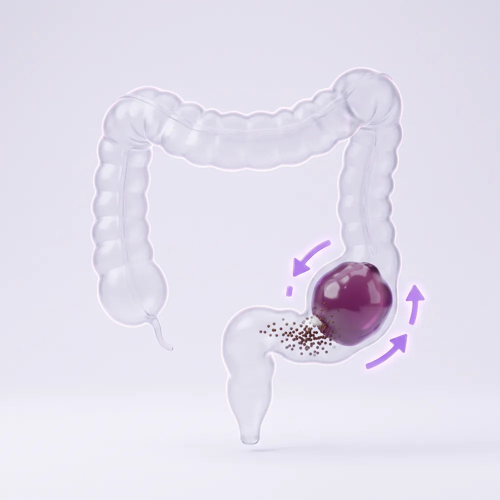 Fibre absorbs water and swells, forming a soft gel.